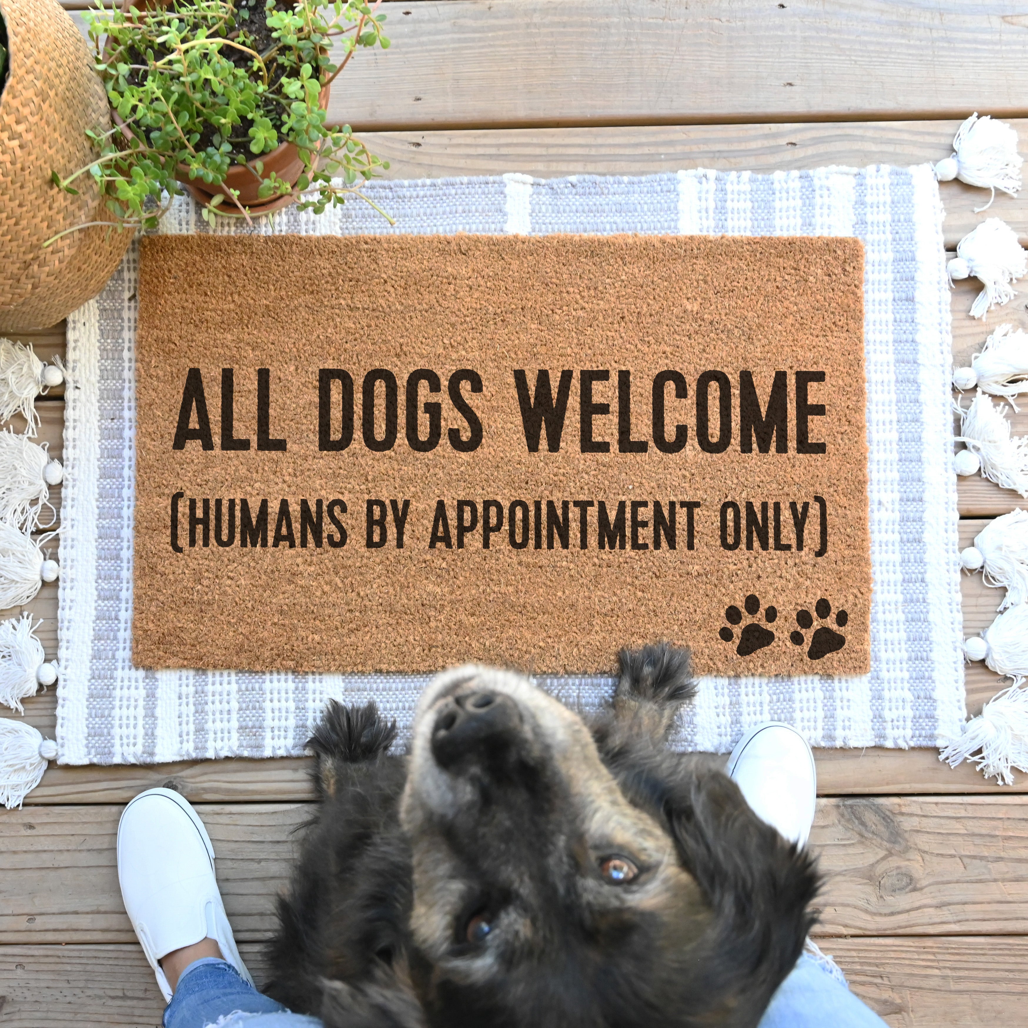All Dogs Welcome (Humans By Appointment Only) Doormat - Hamlin Row